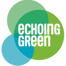 https://safeaccess.co.in/wp-content/uploads/2024/04/Echoing-green-Logo.webp